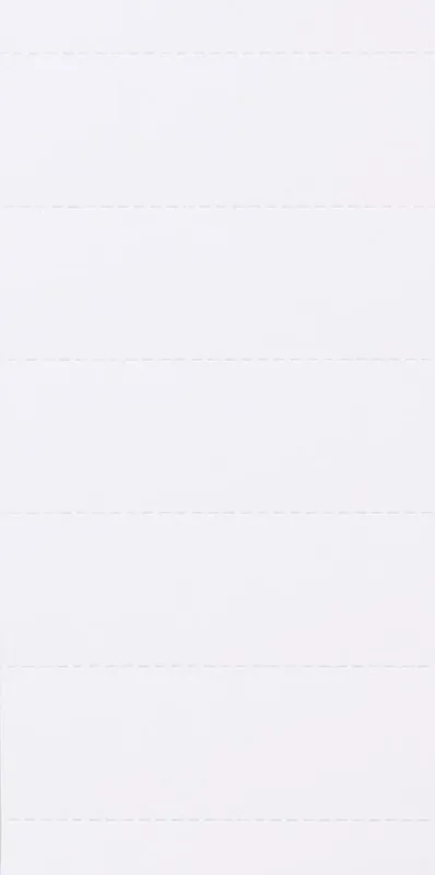 Ab Werk Hängeregistraturtaben 1601 Weiß Karton 2,1 x 6 cm 100 Stück