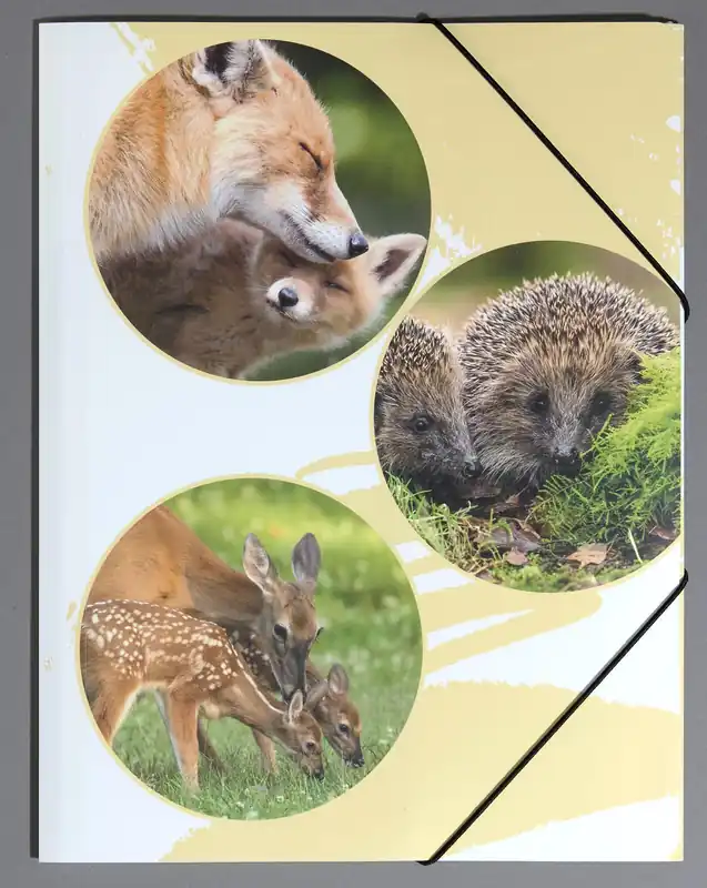 Meistverkauft PAGNA Eckspanner Native DIN A4 Waldtiere