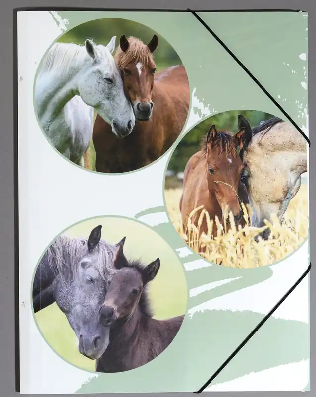 Expressversand PAGNA Eckspanner Lovely DIN A4 Pferde